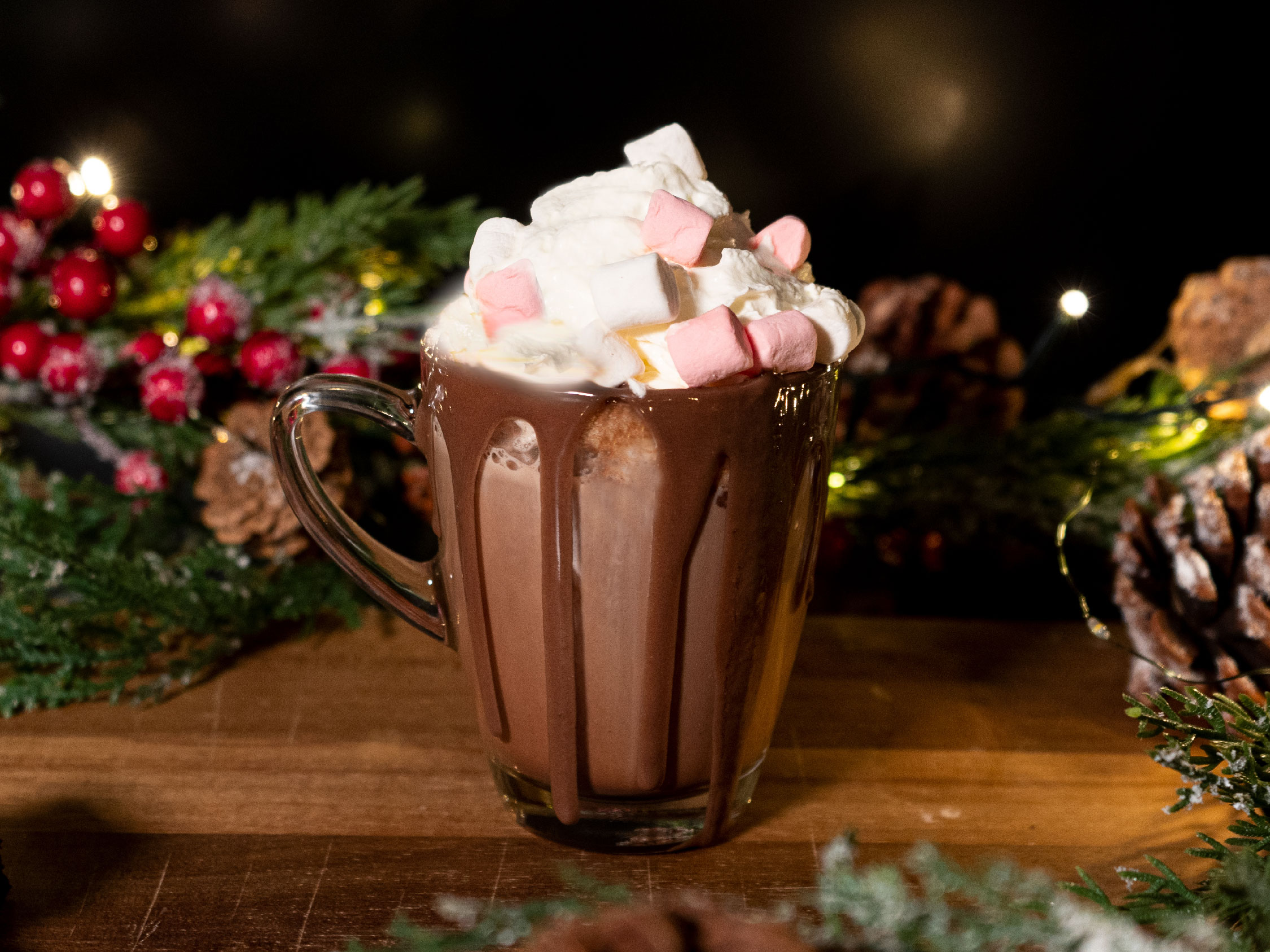 Marshmallow Hot Chocolate